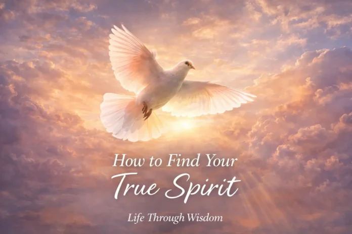 How to Find Your True Spirit